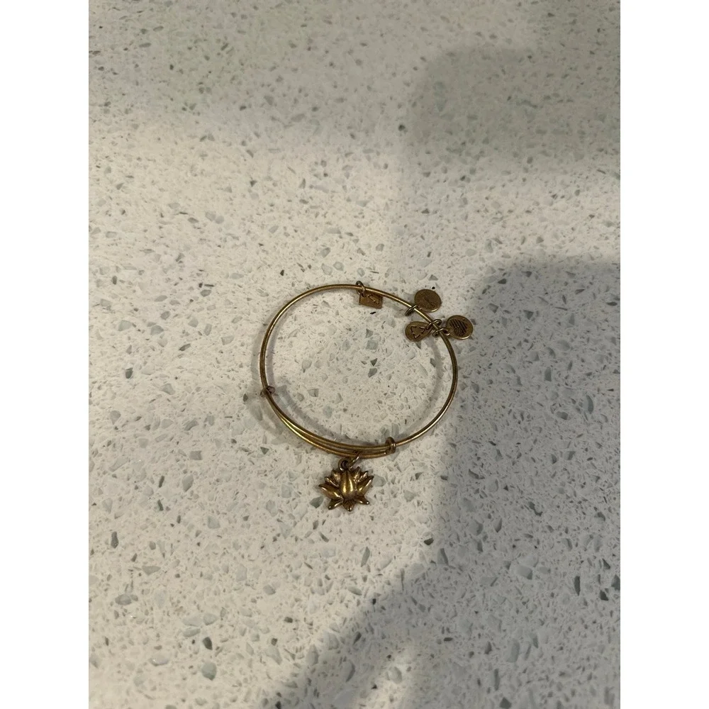 ALEX AND ANI bracelet bundle includes 9 bracelets ‎ (g1)